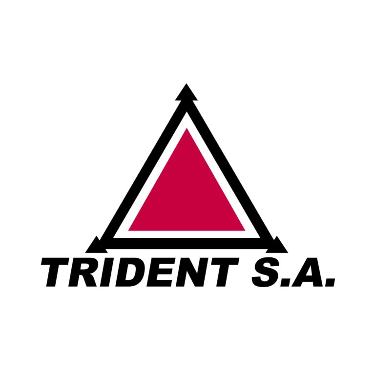 ABOUT US - Trident SA